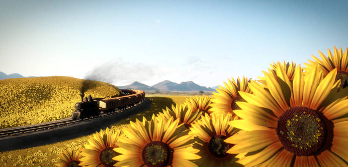 Sunflowers Landscape