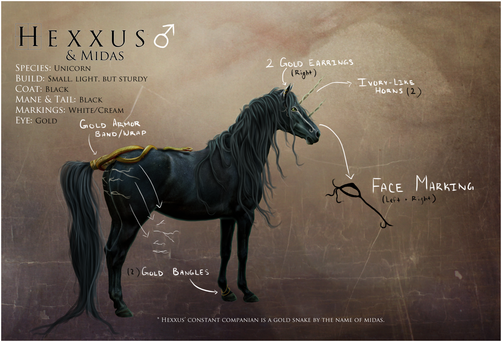 Hexxus Ref