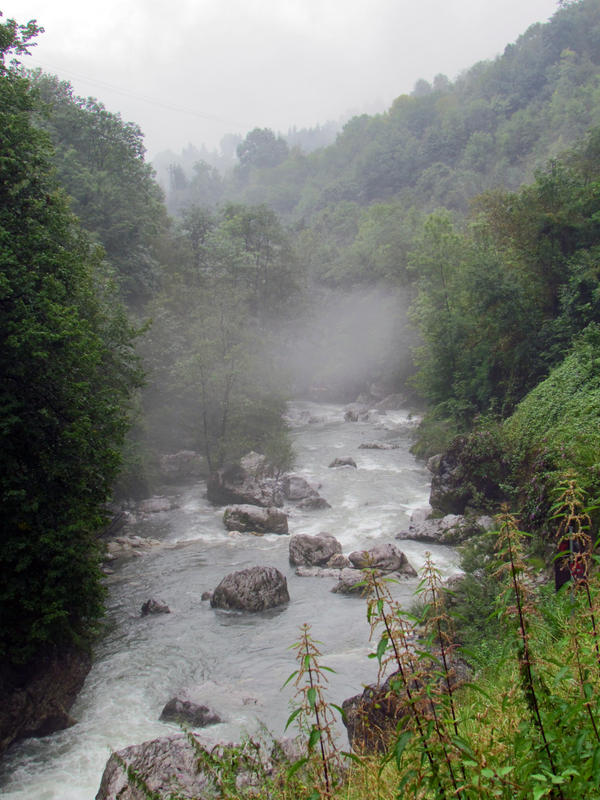 Misty River