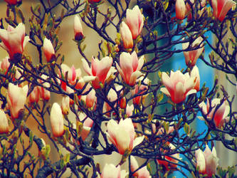 New Year New Life by Sasa-Van-Goth