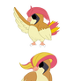 Pidgy, Pidgeotto, Mega/Pidgeot