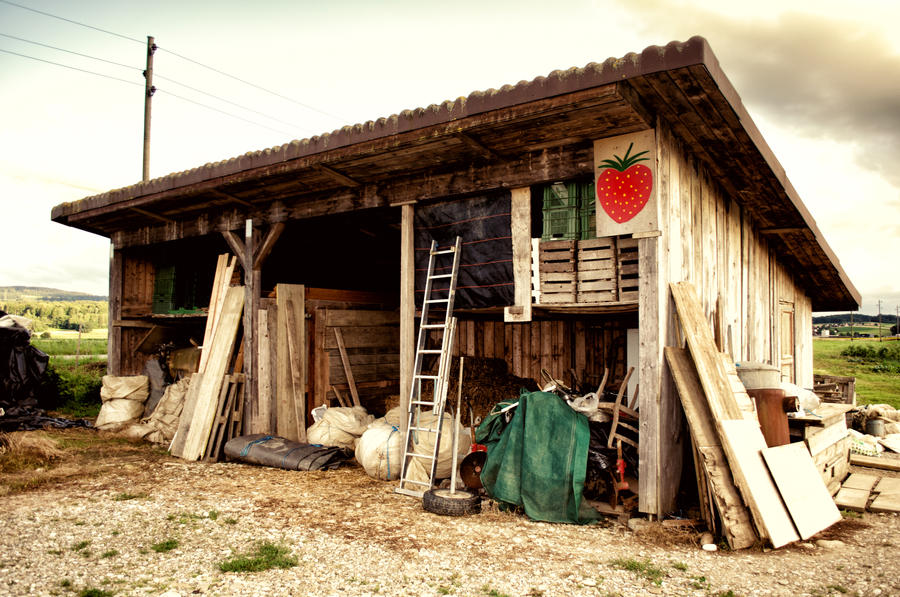 Strawberry shed