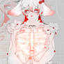 Adoptable half - body