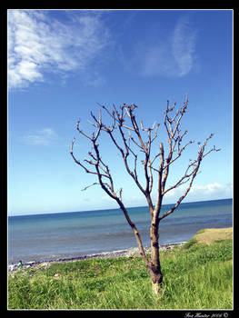 monument-naturel