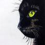 Black Cat
