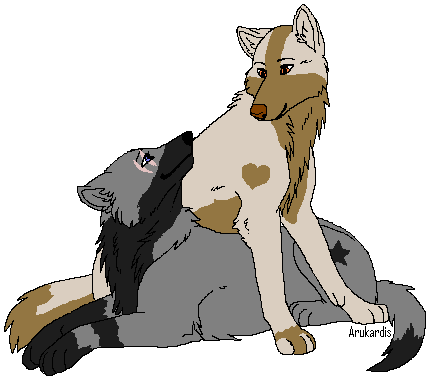 Wolf Couple