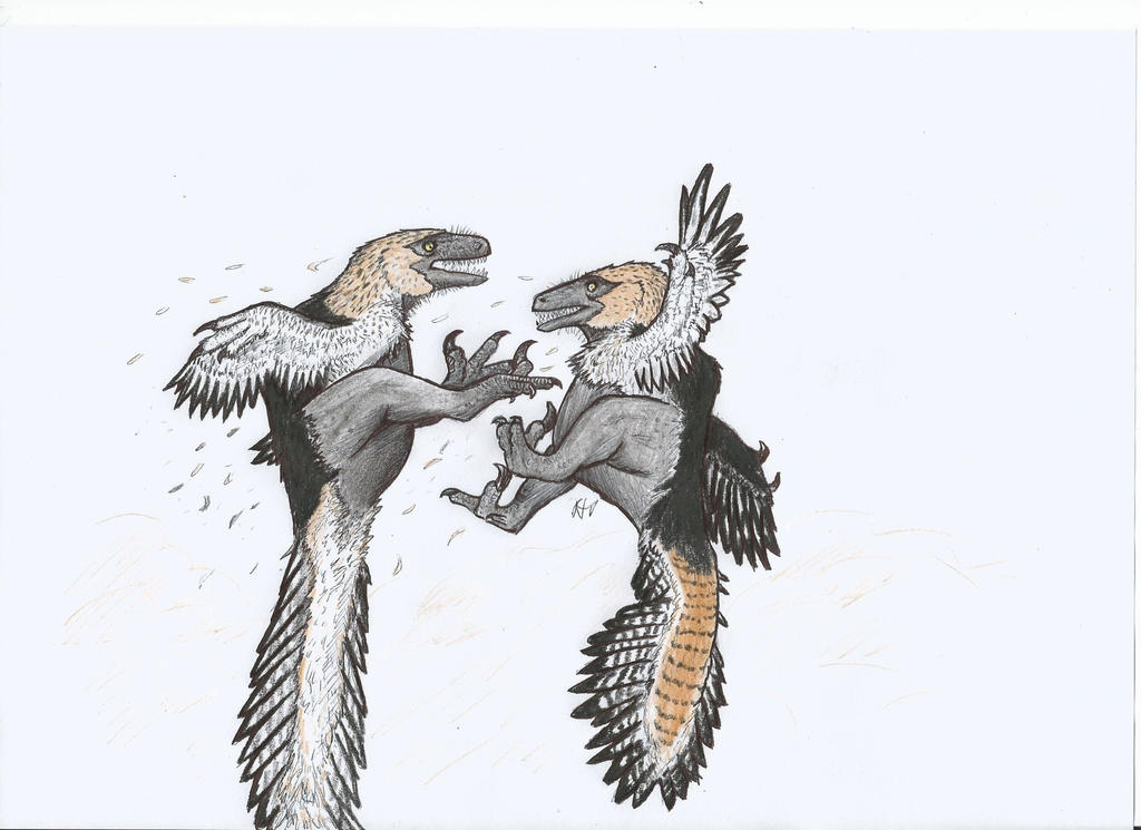 Battle Raptors Utahraptor battle by MesozoicWild on DeviantArt