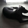 Shadow Puppy