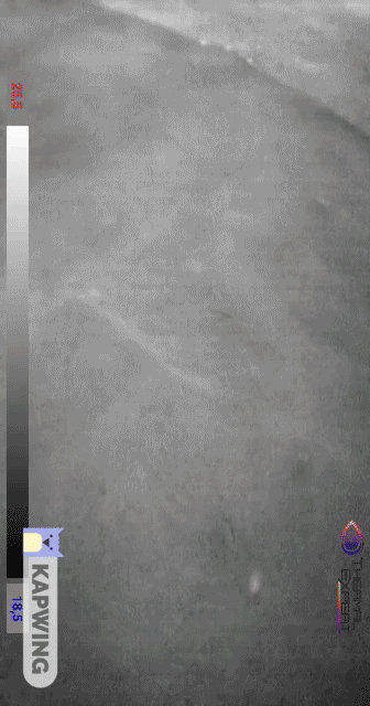 Heat shadow 4x speed by BlueYellowMacaw on DeviantArt