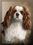 cavalier king charles portrait by ptitvinc