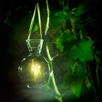 Fairy Light by Invi-Light