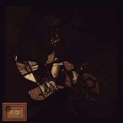 Sometimes Playing with no Shoes.