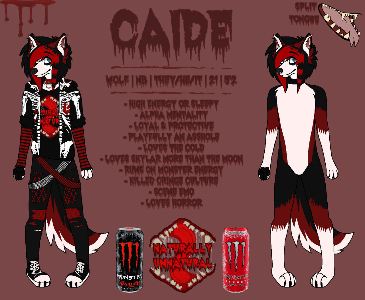 Ash Refrence Ash reference sheet by xXSceneFoxxoXx on DeviantArt