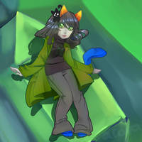 Nepeta