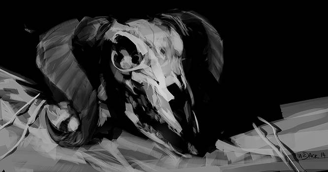 Skulll by Mr--Jack