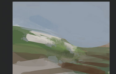 Marsh Watch Process