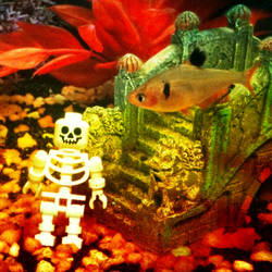 lego skeleton and fish