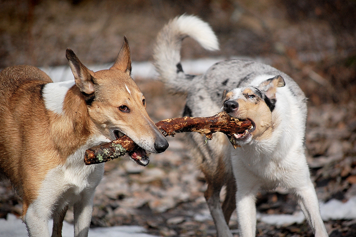 Ey yo, ur having my stick