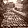 punts in canterbury