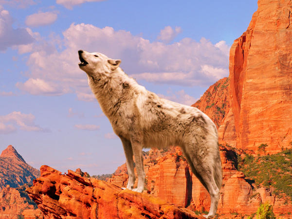 White Wolf Canyon