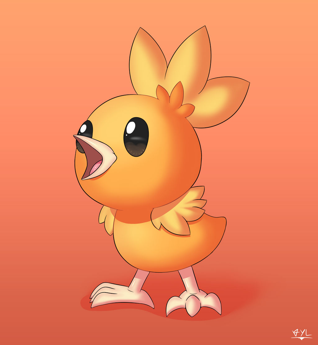 Torchic Doctor Torchic by VylFour on DeviantArt