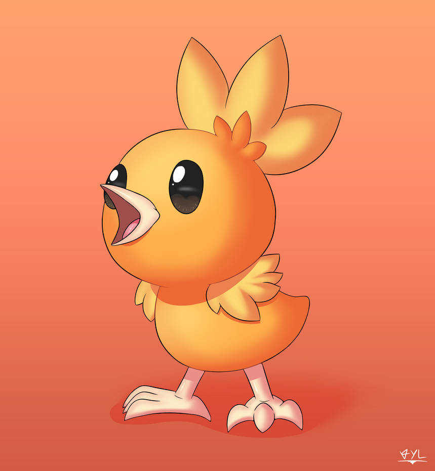 Torchic by VylFour on DeviantArt