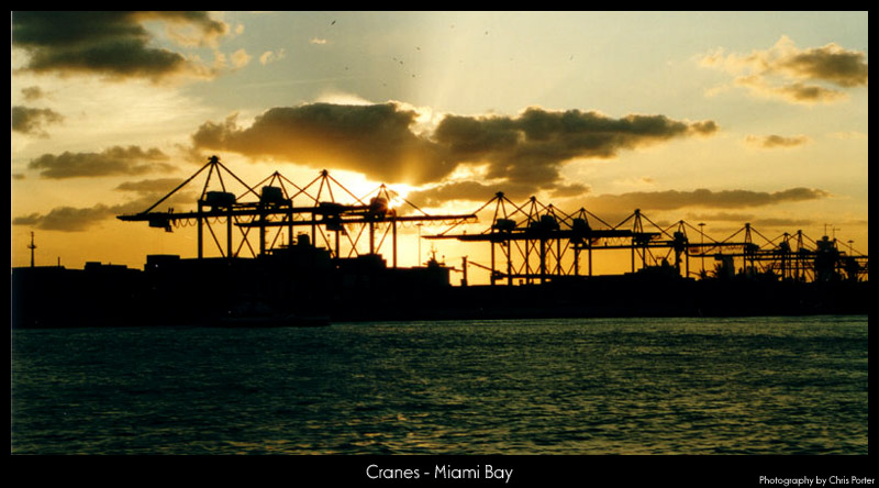 Cranes in Miami