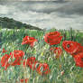 Cottington's Poppies 1 - Stormy Poppies