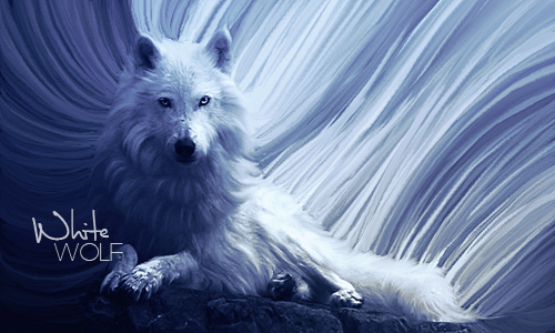 White Wolf