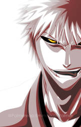 Ichigo's Inner Hollow