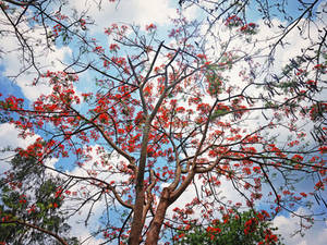 Colours of Nature by WillTC Colours of Nature by WillTC