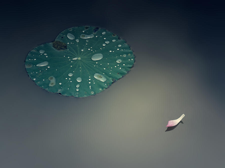 Moment by WillTC Moment by WillTC