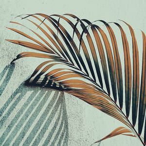 Palm Touch by WillTC Palm Touch by WillTC