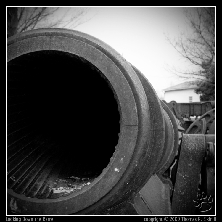 Looking Down the Barrel