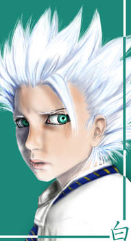 Hitsugaya _ shiro