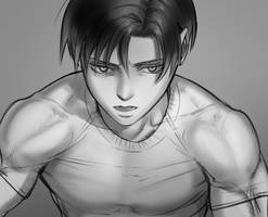 Levi