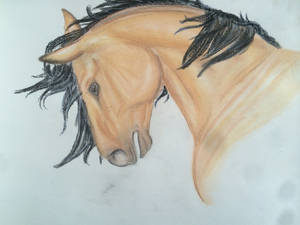 Chalk Pastel Buckskin Horse