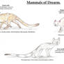 More mammals of Drearm