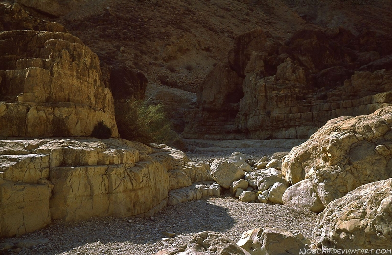 Nahal David - Dead Sea