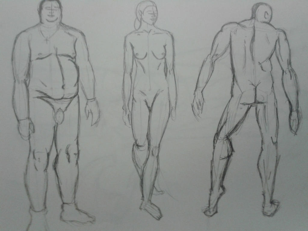 Set Human Form Human form sketches for uni by Suora7 on DeviantArt