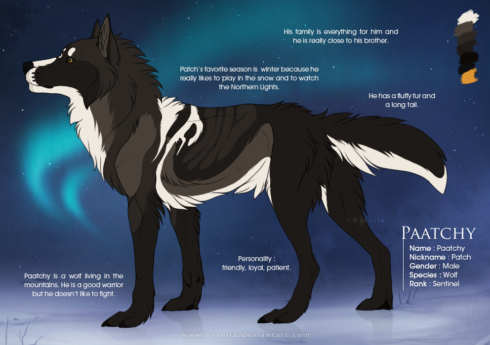 Paatchy - Character reference sheet