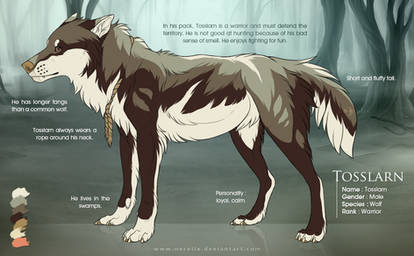 Tosslarn - Character reference sheet