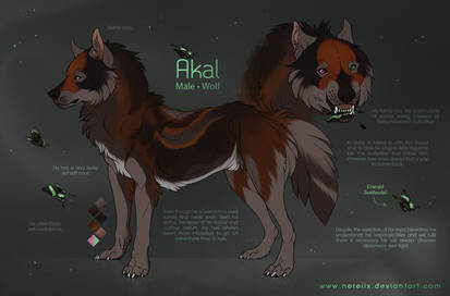 Akal - Character reference sheet