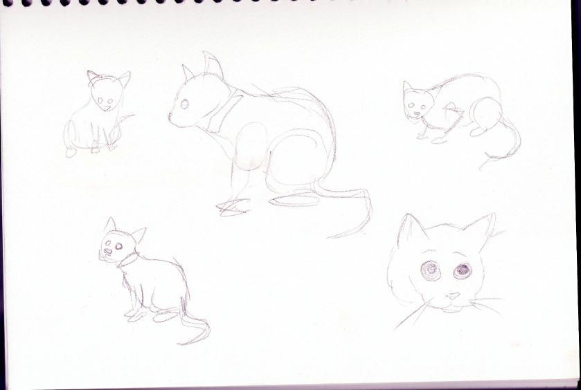 Animate cat by Kat-Aclysm on DeviantArt