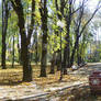 Copou Park Panorama 2