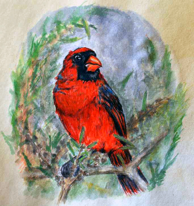 Cardinal