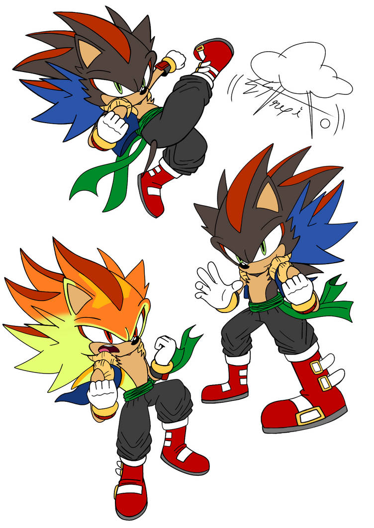Sonic and Shadow Fusion by Sefy-The-Hedgehog on DeviantArt