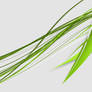 The Greenhead
