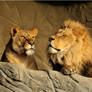 Royalty