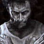 wolverine